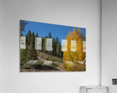 Aspen Photobomb  Acrylic Print