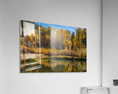 Reflecting Aspens  Acrylic Print