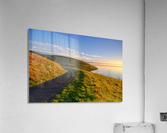 Bliss in Oil Acrylic Print