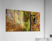 Light and Color  Acrylic Print