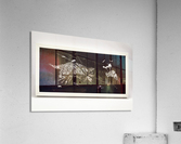 Birdofprey2 Acrylic Print