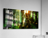 The Forest Vale Ruins Acrylic Print