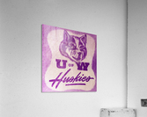 1948 Vintage Washington Huskies Art Acrylic Print
