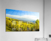 Fall Colours Acrylic Print