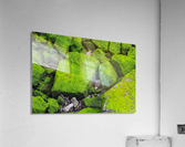 Slimey Rocks Acrylic Print