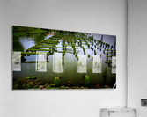 Dock in Decay Acrylic Print