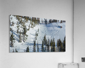 Tahoe Tracks Acrylic Print