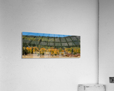 Golden Tree Line Acrylic Print