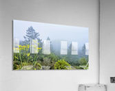 Foggy Mountaintop  Acrylic Print