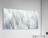 Japanese Silver Grass Acrylic Print