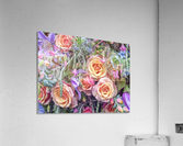 Roses and mixed flowers Acrylic Print
