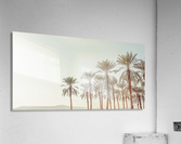 Palm Trees Acrylic Print