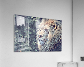 Lion Gemalde Acrylic Print