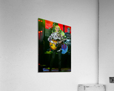Steve Howe Acrylic Print