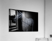 Terracotta Horse B&W Acrylic Print