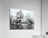 Birds in UK Acrylic Print