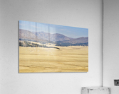 Valles Caldera National Preserve  Acrylic Print