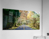 Thompson Road Acrylic Print