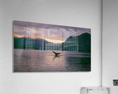 Whale Tail Alaska Acrylic Print