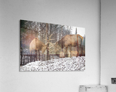 Elk Bucks Acrylic Print