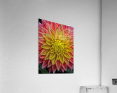 carnival Acrylic Print