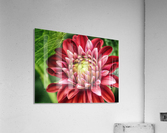 the hidden Acrylic Print