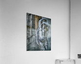 venus  Acrylic Print