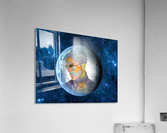 edits4 Acrylic Print