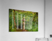 Japanese Garden Portland 10  Acrylic Print