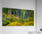 Japanese Garden Portland 8 Acrylic Print