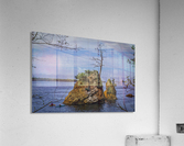 Oregon Coast 3  Acrylic Print