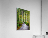 Japanese Garden Portland 2  Acrylic Print
