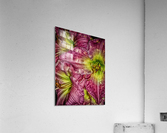 flower eight Acrylic Print
