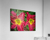 flower three Acrylic Print