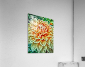 flower ten Acrylic Print