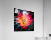Rose Garden Portland 8  Acrylic Print