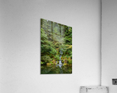 Japanese Garden Portland 13  Acrylic Print