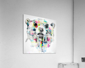 L ours Acrylic Print