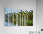 Lagoon Acrylic Print