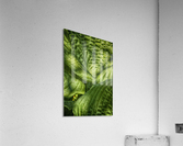 green Acrylic Print