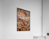 fungus Acrylic Print