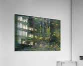 Mist in Trees Acrylic Print