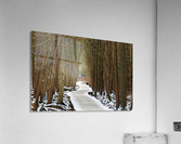 Over The Winter Wetland  Acrylic Print