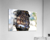 Diamond In The Heart  Acrylic Print