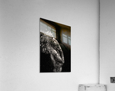 The Fragile Squaw  Acrylic Print