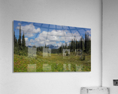 Meadows In The Sky Acrylic Print