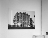 20190418 DSC 0043 2 Acrylic Print