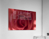 20190601 DSC 0061 3 Acrylic Print