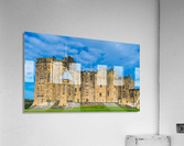 20190917 DSC 0116 Acrylic Print