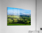 20190916 DSC 0358 3 Acrylic Print